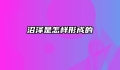 沼泽是怎样形成的