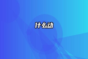 什么动