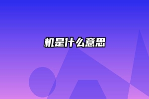 机是什么意思
