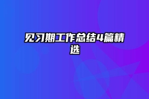 见习期工作总结4篇精选