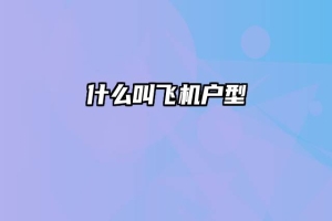 什么叫飞机户型