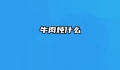 牛肉炖什么