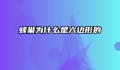 蜂巢为什么是六边形的