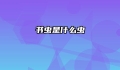 书虫是什么虫