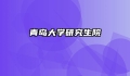 青岛大学研究生院