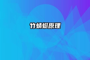 竹蜻蜓原理