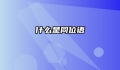 什么是同位语
