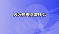 夫人的英文是什么