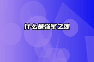 什么是强军之魂
