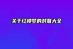关于红楼梦的对联大全