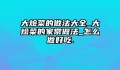 大烩菜的做法大全_大烩菜的家常做法_怎么做好吃.