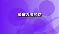 象征友谊的花