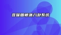 宫保田根派八卦系统