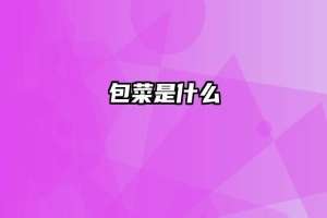 包菜是什么
