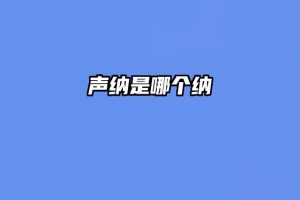 声纳是哪个纳