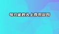 母孔雀的头上有羽冠吗