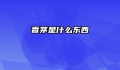 香茅是什么东西