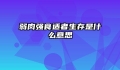 弱肉强食适者生存是什么意思