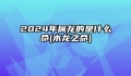 2024年属龙的是什么命(木龙之命)
