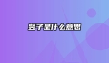 竖子是什么意思