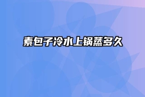 素包子冷水上锅蒸多久
