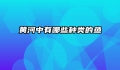 黄河中有哪些种类的鱼