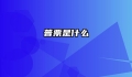 普票是什么