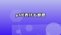 y1代表什么意思