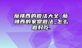 茄辣西的做法大全_茄辣西的家常做法_怎么做好吃.
