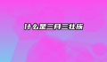 什么是三月三壮族