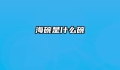 海碗是什么碗
