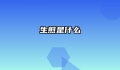 生煎是什么