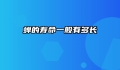 蝉的寿命一般有多长