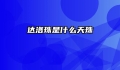 达洛珠是什么天珠