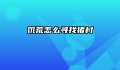 饥荒怎么寻找猪村