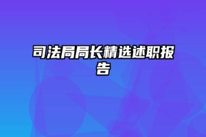 司法局局长精选述职报告