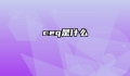 ceq是什么