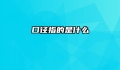 口径指的是什么