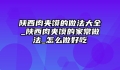 陕西肉夹馍的做法大全_陕西肉夹馍的家常做法_怎么做好吃