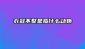 衣冠不整是指什么动物