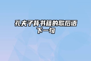孔夫子背书籍的歇后语下一句