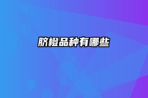 脐橙品种有哪些