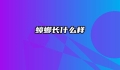 蟑螂长什么样