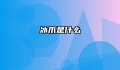 冰爪是什么