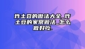 炸土豆的做法大全_炸土豆的家常做法_怎么做好吃.