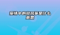 爱情中的放风筝是什么意思