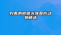 好看的微信头像图片动物精选