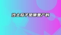 沙土瓜子是哪里产的