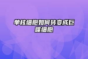 单核细胞如何转变成巨噬细胞