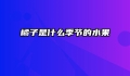 橘子是什么季节的水果